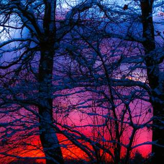 Winter dusk wallpaper