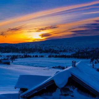 Winter dusk wallpaper