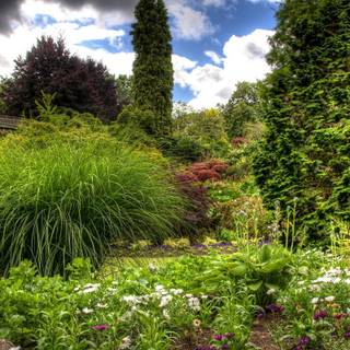 Sky garden wallpaper