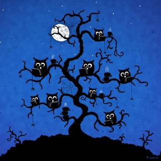 Gambar burung hantu wallpaper