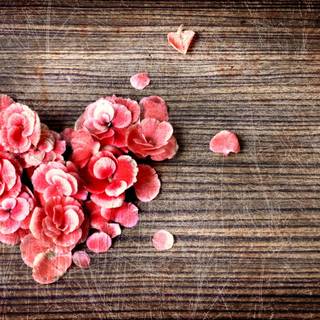 Retro Valentines wallpaper