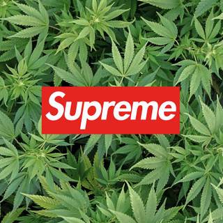 Weed Supreme wallpaper