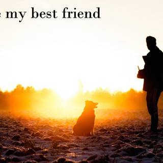 Dog friend wallpaper
