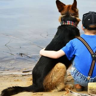 Dog friend wallpaper