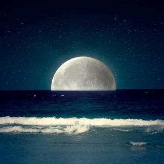 Extraordinary wallpaper