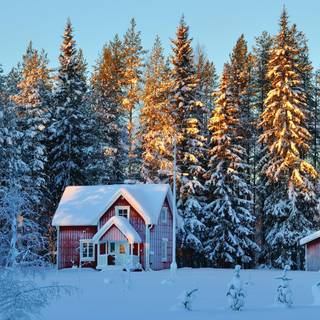 Winter forest house wallpaper