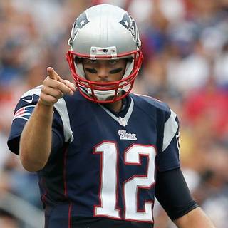 Brady desktop wallpaper