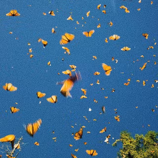 Blue and yellow aesthetic wallpaper