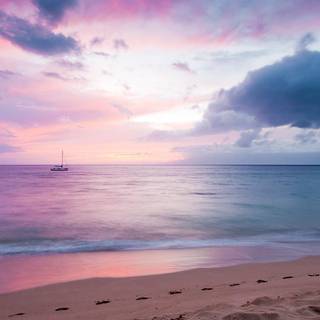 Pink HD desktop wallpaper