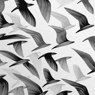 Tumblr black and white wallpaper