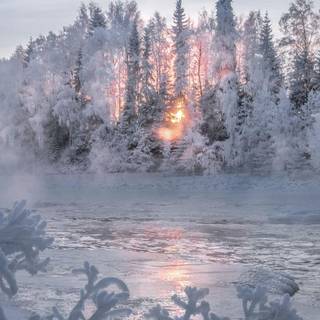 Fiery winter sunset wallpaper