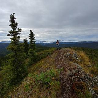 Alaskan road trip wallpaper