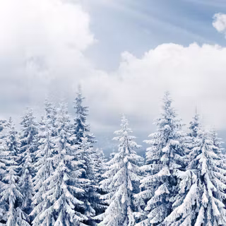iPhone 8 Plus winter wallpaper