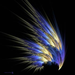 Black amoled display wallpaper