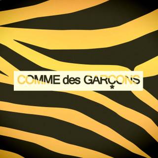 Com De Garcon desktop wallpaper