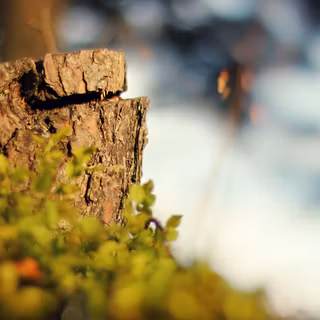 Full HD 1080p desktop wallpaper