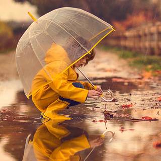 Rain HD Android wallpaper