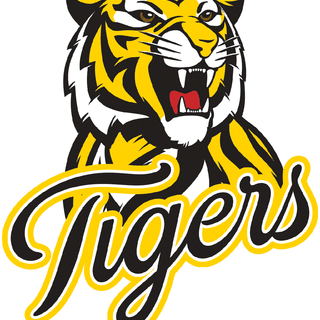 Go Tigers! wallpaper