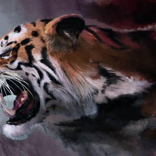 Go Tigers! wallpaper