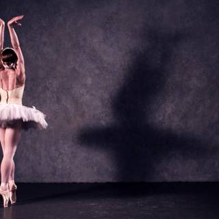 Ballet computer wallpaper