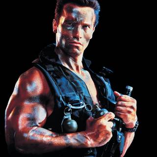 Arnold HD mobile wallpaper