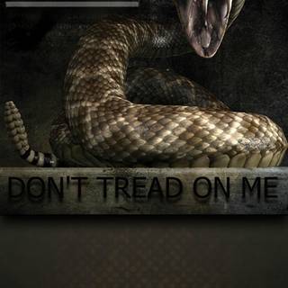 Don't Tread On Me mobile wallpaper