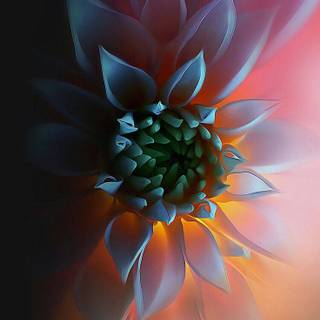 iPhone Xs Stock wallpaper