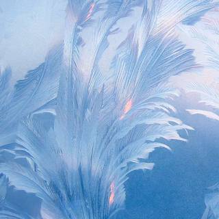 Xiaomi Mi 10 wallpaper