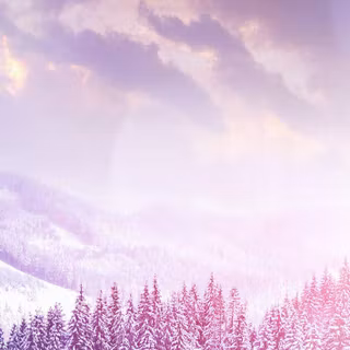 Winter pink wallpaper