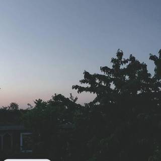 BTS Mikrokosmos wallpaper