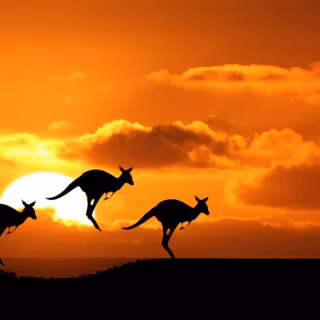 Cute Australia landscape desktop wallpaper
