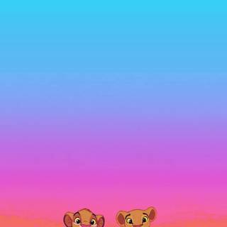 Lion King aesthetic wallpaper