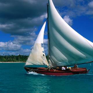 White sails wallpaper