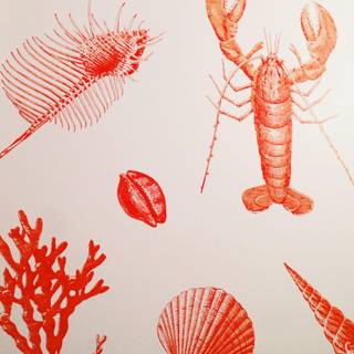 White lobsters wallpaper