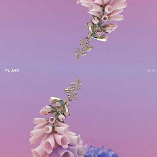 Flume iPhone wallpaper