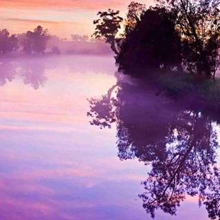 HD nature Android wallpaper