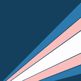 Transgender aesthetic desktop wallpaper