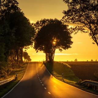 Nature road sunset wallpaper
