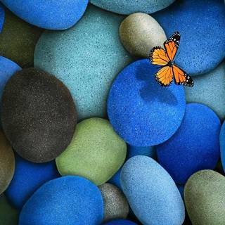 Beautiful mobile pic wallpaper