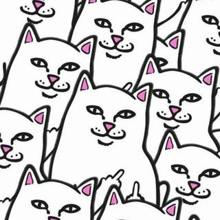 Ripndip iPhone HD wallpaper