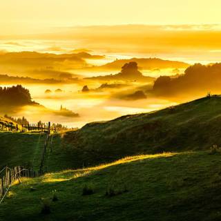 Golden sunrise wallpaper