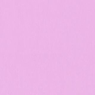 Plain bright pink wallpaper