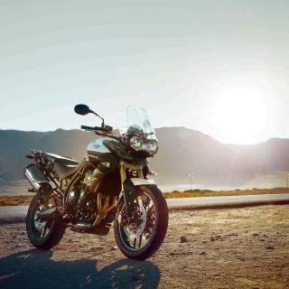 Tiger 1200 wallpaper