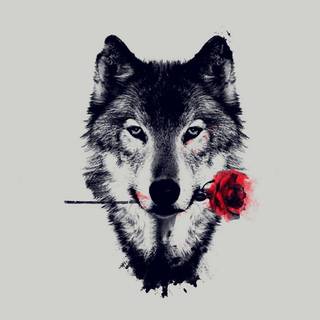 Wolf art Android wallpaper