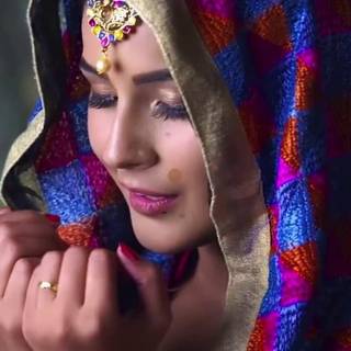 Shehnaaz Kaur Gill wallpaper