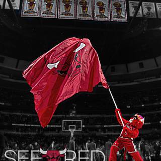 Chicago Bulls red HD iPhone wallpaper