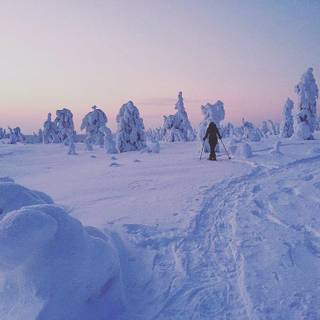 Riisitunturi National Park winter wallpaper