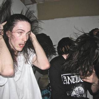 Sesh desktop wallpaper