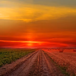 Loneliness sunset 4k anime wallpaper