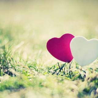 Love Full Screen desktop HD wallpaper